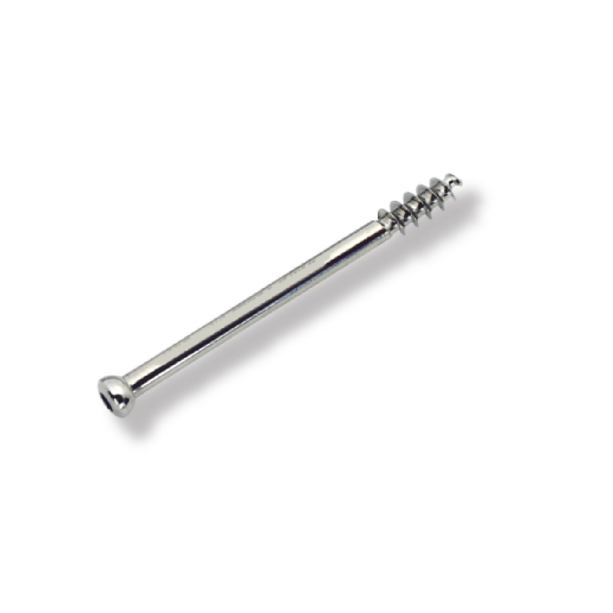 Bone Screw