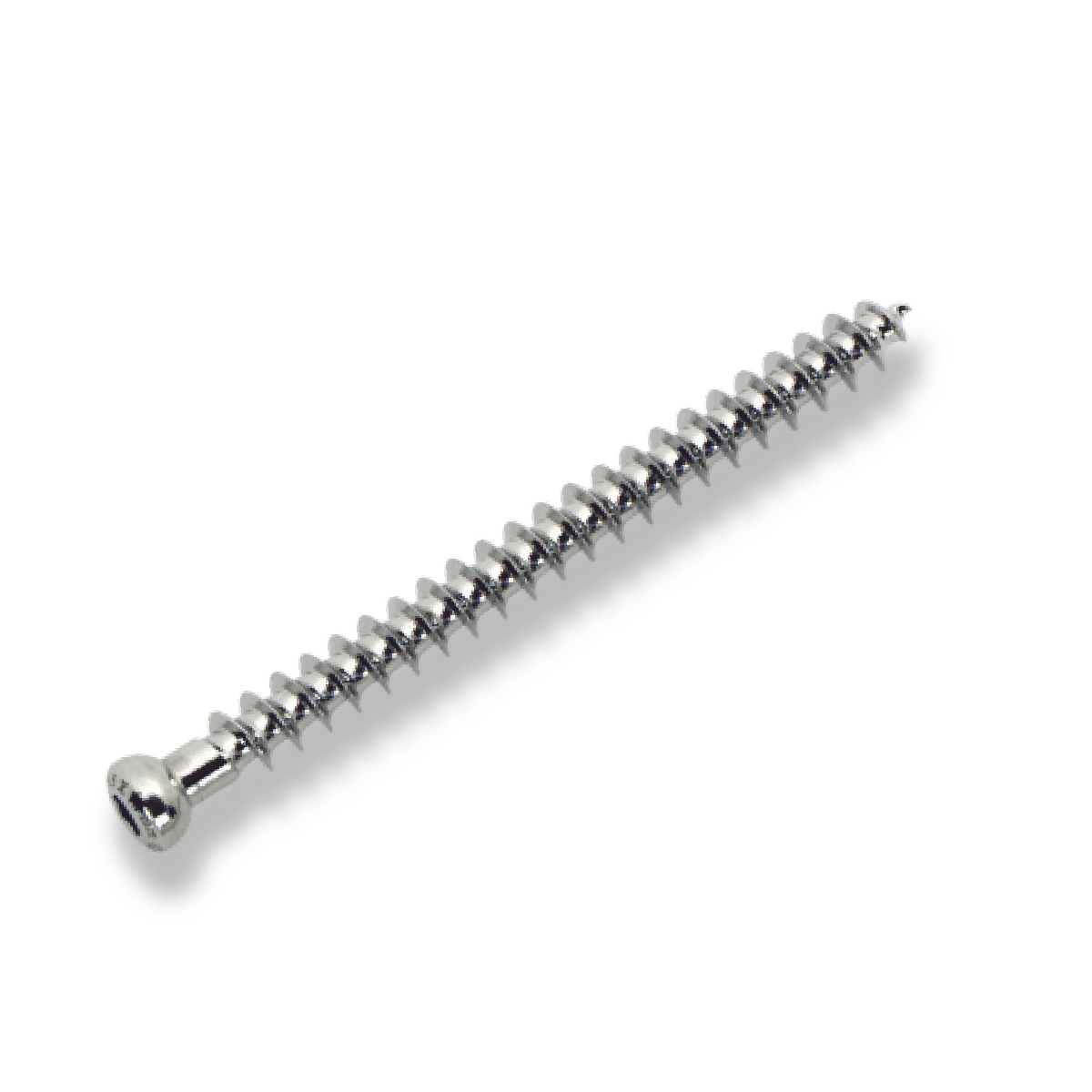 Bone Screw