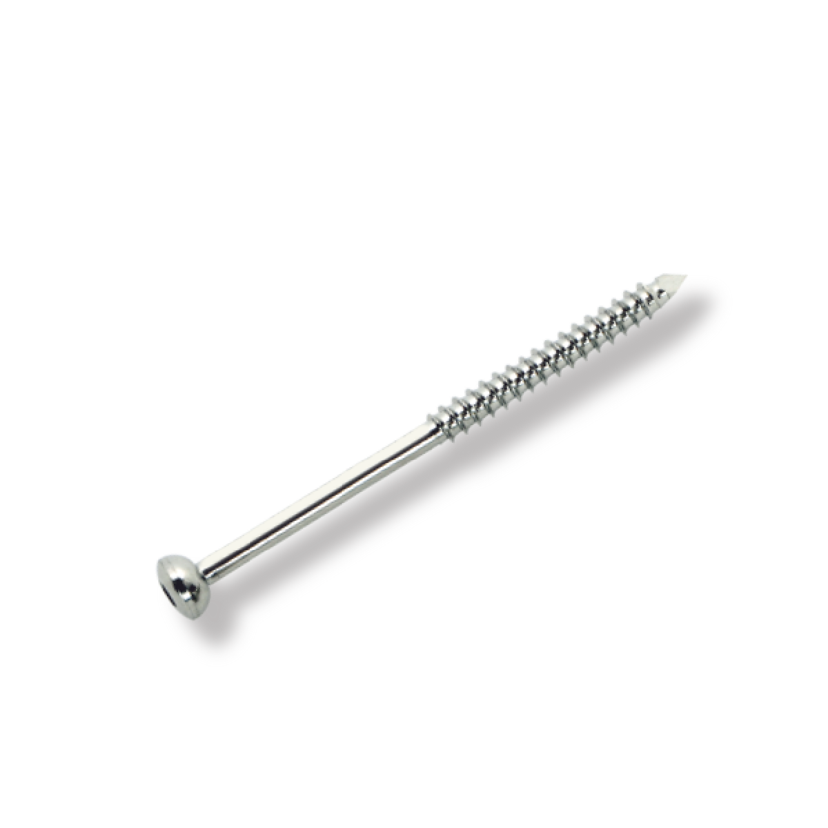 Bone Screw