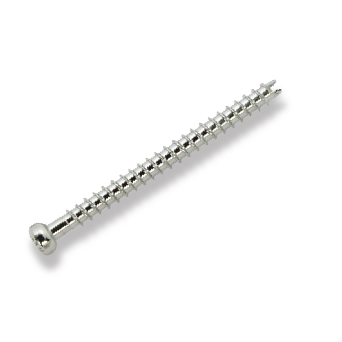 Bone Screw