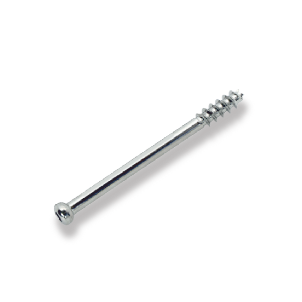 Bone Screw