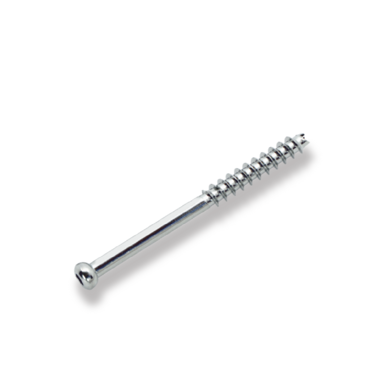 Bone Screw