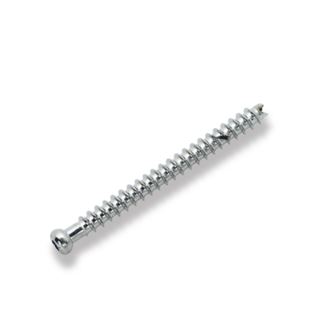 Bone Screw