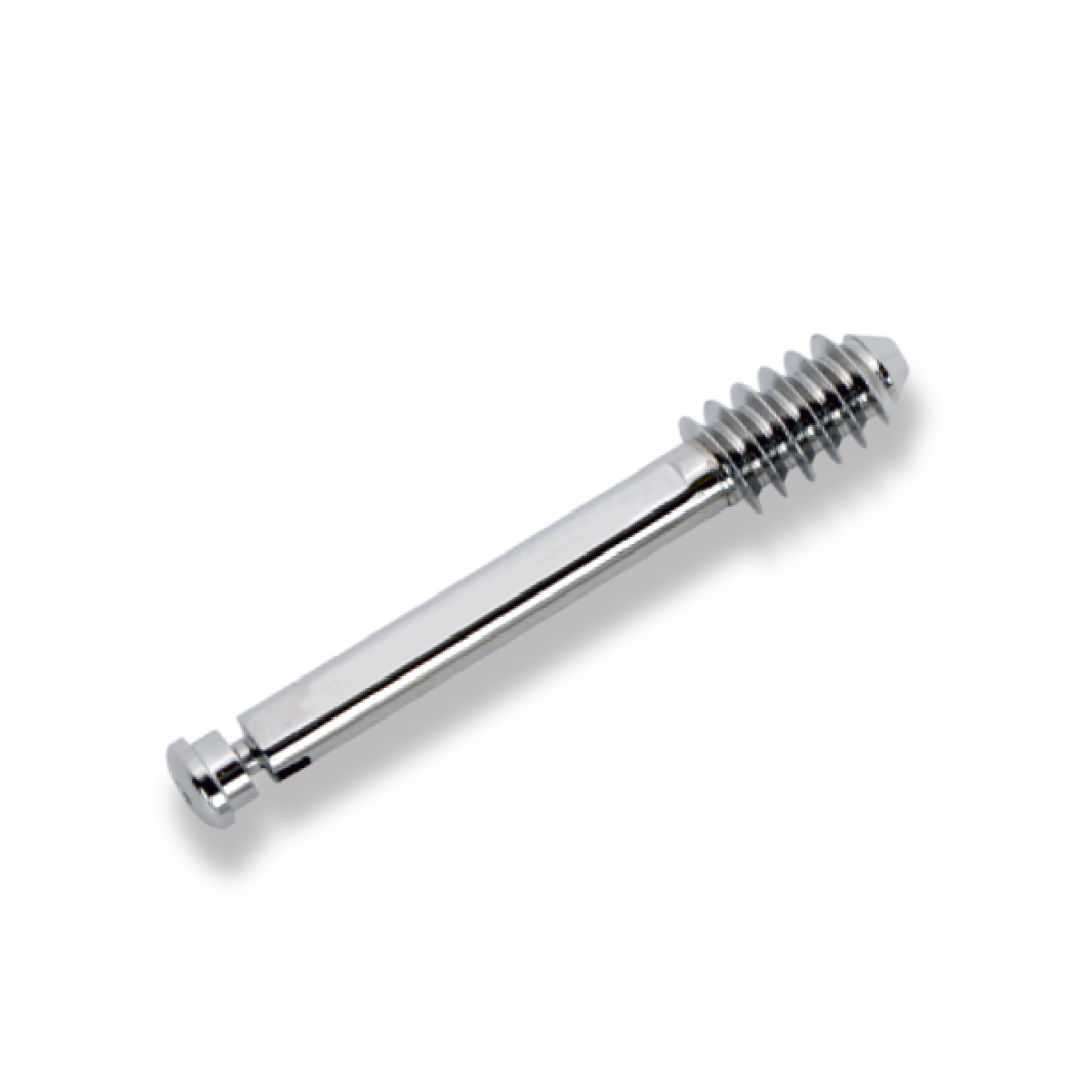 Bone Screw