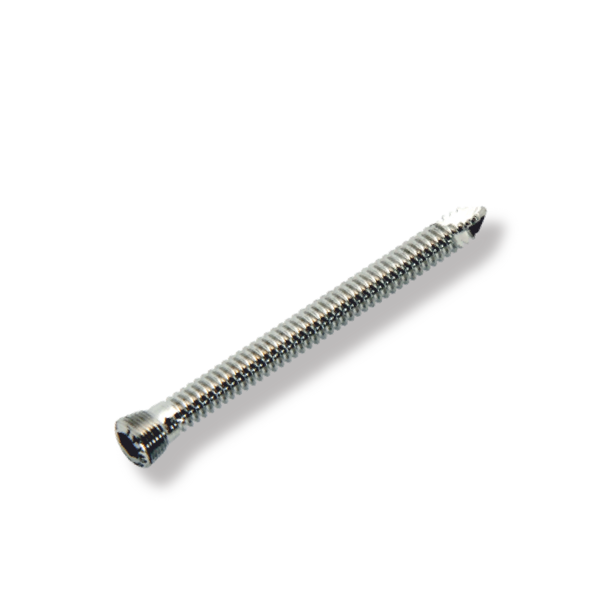 Orthopedic Implants