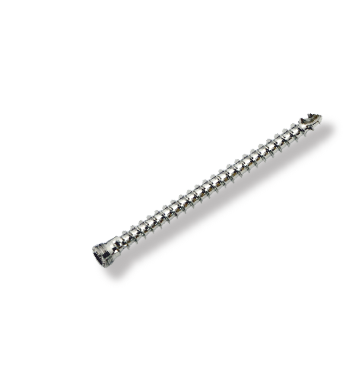Orthopedic Implants