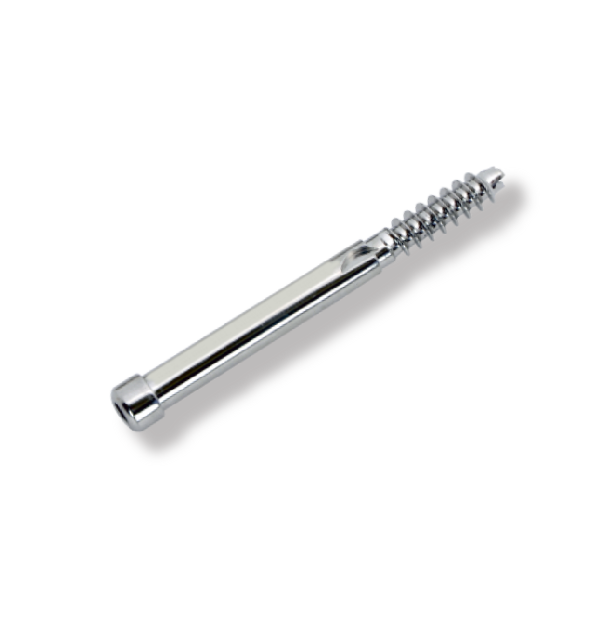 Orthopedic Implants