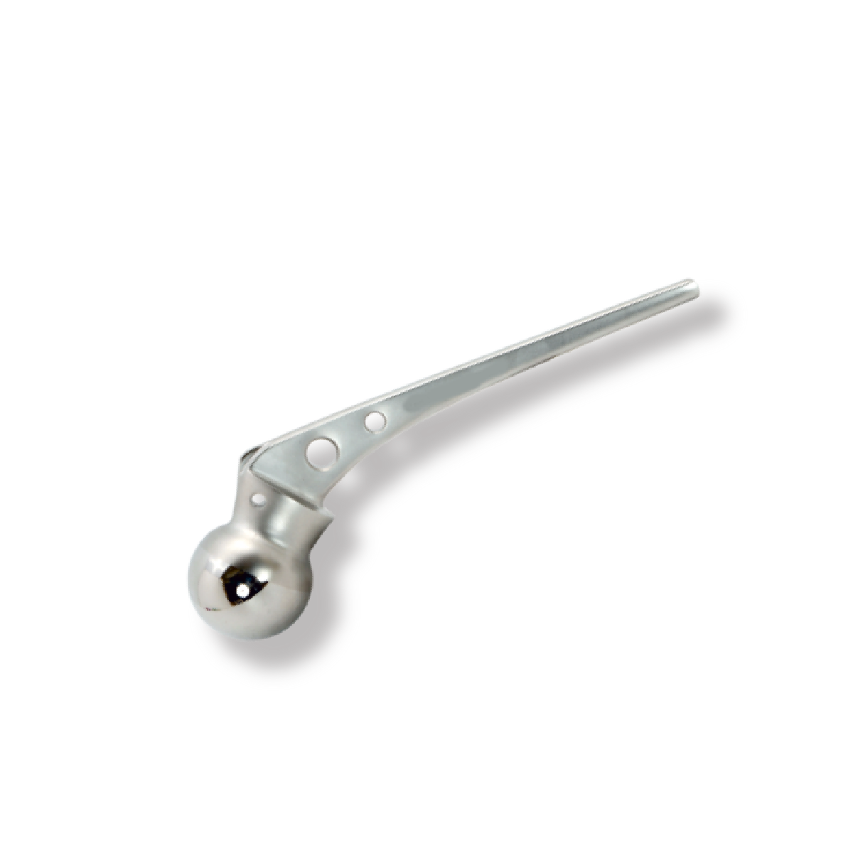 Orthopedic Implants