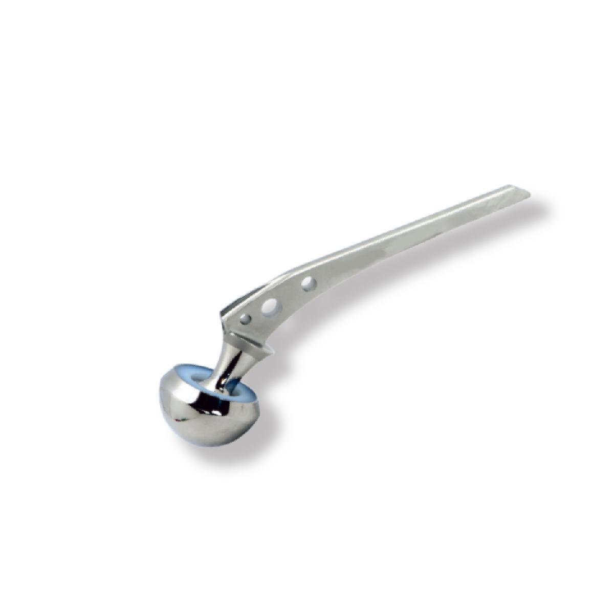 PROSTHESIS 