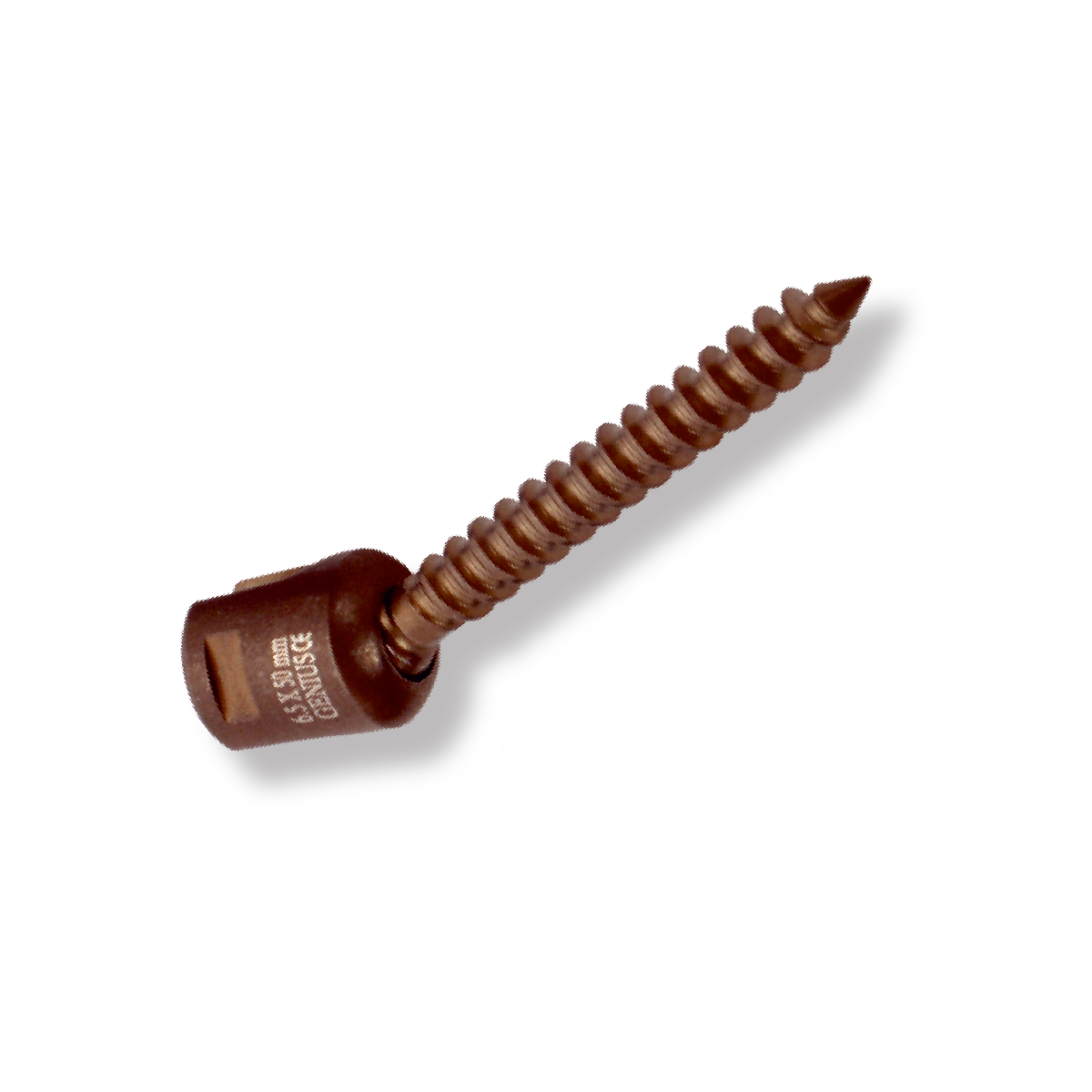 SPINE IMPLANT