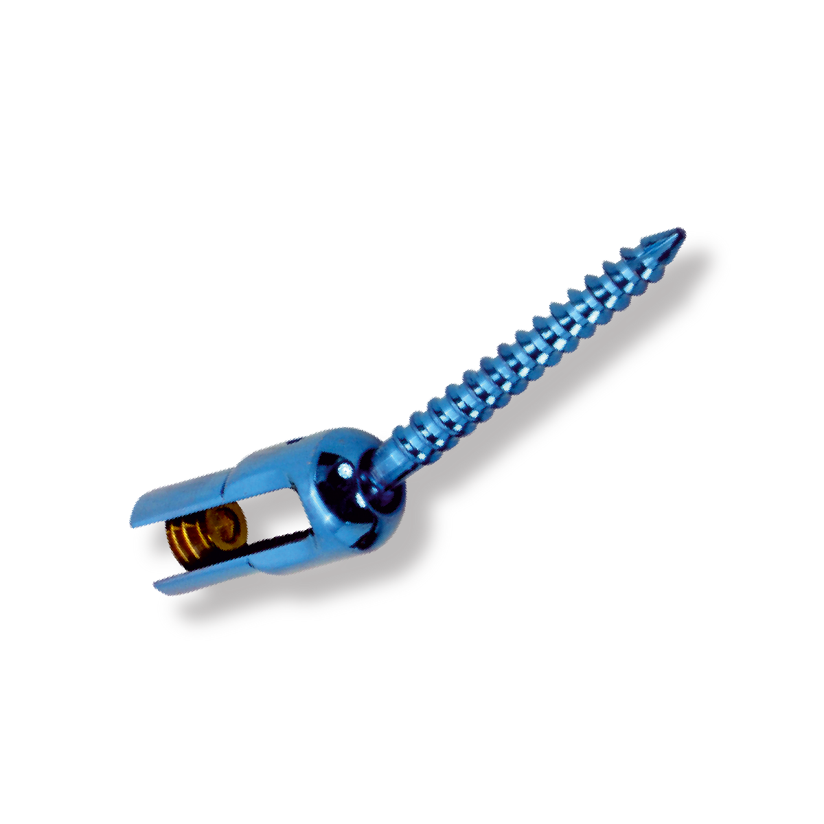 SPINE IMPLANT