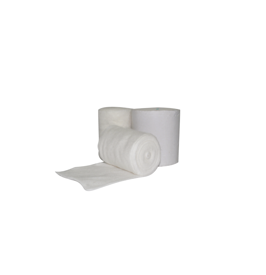 Orthopaedic Surgical Products